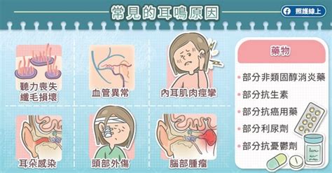 常常耳鳴|耳朵嗡嗡響、耳鳴怎麼辦？圖解6大耳鳴原因，4症狀速。